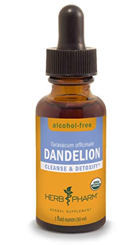 Herb Pharm Certified Organic Dandelion Liquid Extract for Cleansing and Detoxification AlcoholFree Glycerite 1 Ounce