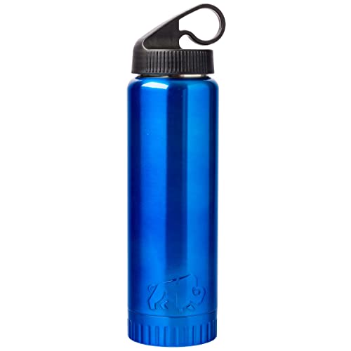 Silver Buffalo Double Walled Vacuum Insulated Stainless Steel Water Bottle 20 Ounces Aqua Blue