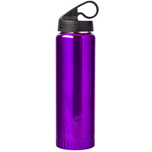 Silver Buffalo Double Walled Vacuum Insulated Stainless Steel Water Bottle 20 Ounces Aqua Blue