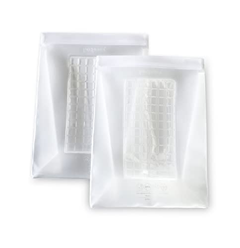 Prepara 1 Gallon Reusable set of 2 Food Storage Bags clear