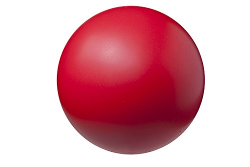 HighDensity Coated Foam Ball 85 Inches  Champion Sports