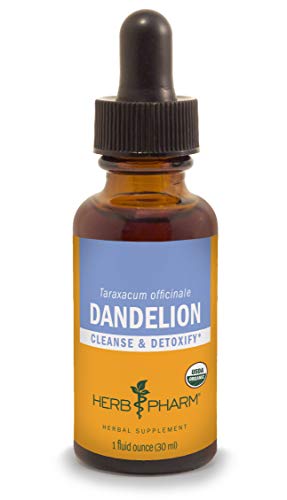 Herb Pharm Certified Organic Dandelion Liquid Extract for Cleansing and Detoxification AlcoholFree Glycerite 1 Ounce