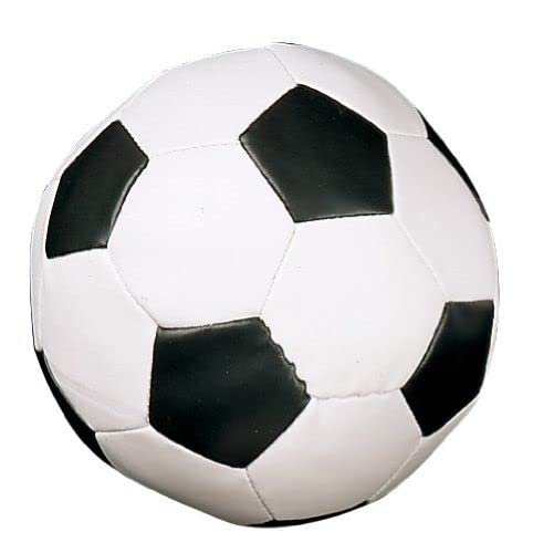 Soft Sport Ball 8 Inch Champion Sports