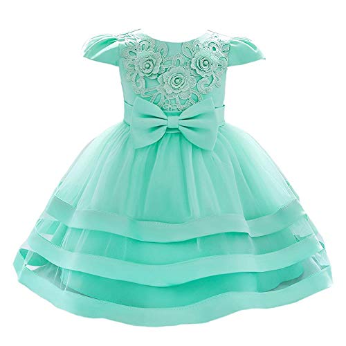 Dressy Daisy Baby Flower Girls Dresses Special Occasion Wedding Birthday Party Fancy Tiered Gown