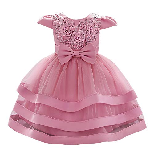 Dressy Daisy Baby Flower Girls Dresses Special Occasion Wedding Birthday Party Fancy Tiered Gown