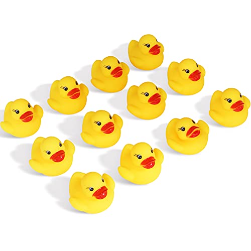 Introducing the 12 Pack of Novelty Place Floating Squeaking Rubber Ducky Baby Bath Toys for Kids