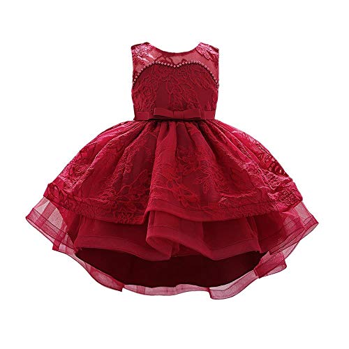 Dressy Daisy Baby Girls Wedding Flower Girl High Low Party Dress with Lace Embroideries for Pageant Special Occasion