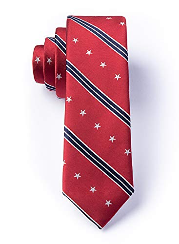 American Flag Necktie for Men in Red with White and Blue Stripes