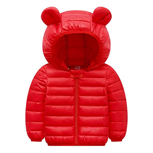 Fall Winter Coats for Toddler Boys Toddler Girls Winter Jacket Outerwear with Hoods