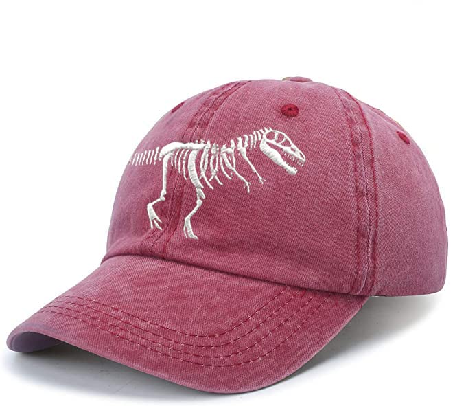 LOKIDVE Men Women Dinosaur Hat Embroidered TRex Skeleton Baseball Cap